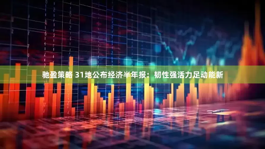 驰盈策略 31地公布经济半年报：韧性强活力足动能新